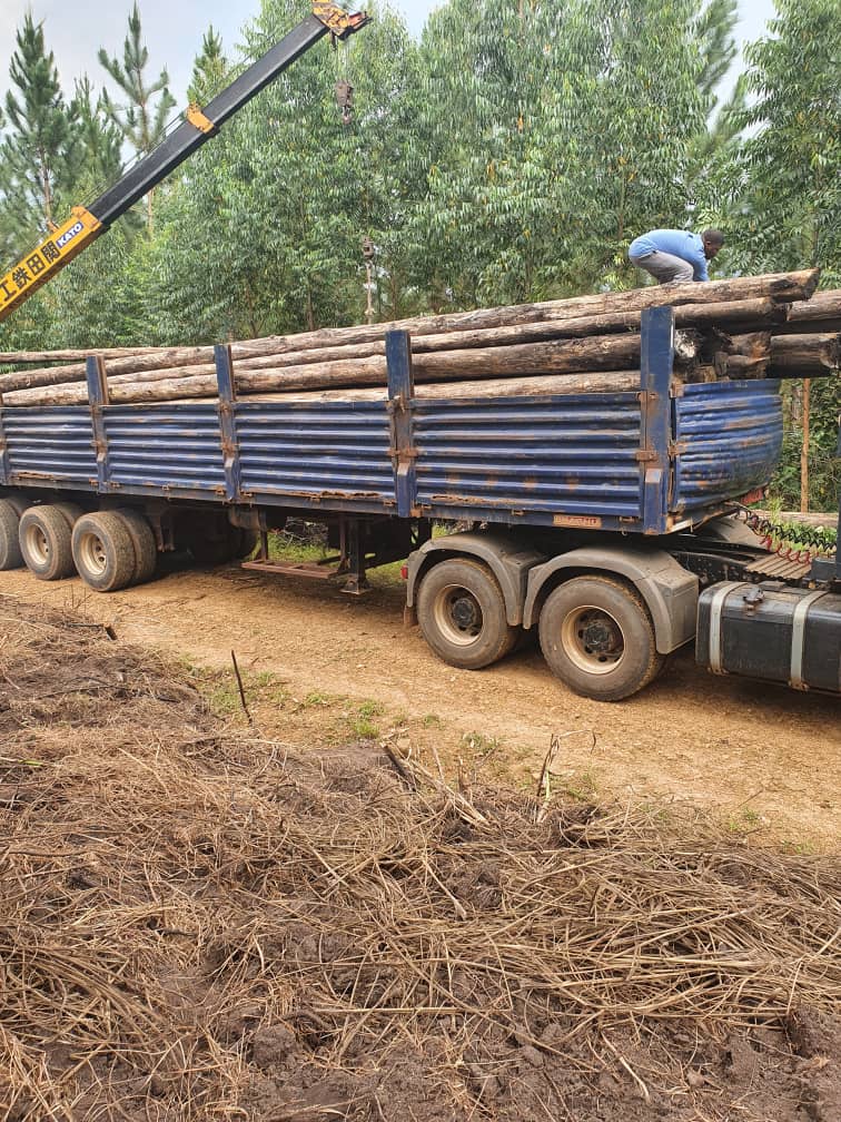Environmental consultants carrying out fieldwork in Uganda