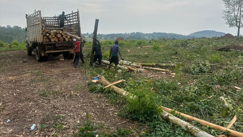 ESIA environmental impact assessment process Uganda