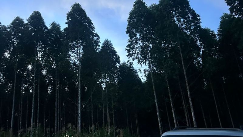 Environmental consultancy Uganda professional services