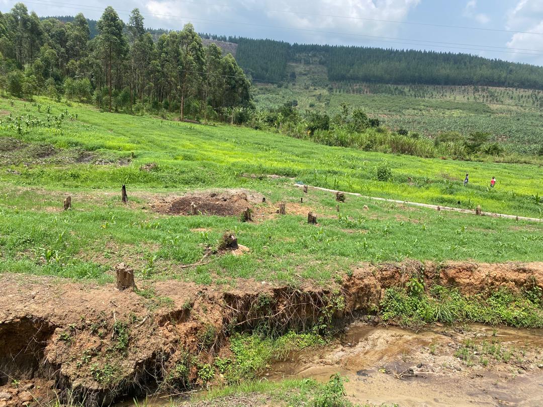 Environmental and social action plans implementation in Uganda
