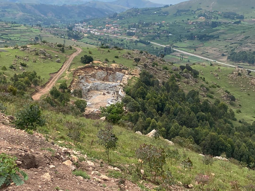 Forest products feasibility and market studies in Uganda