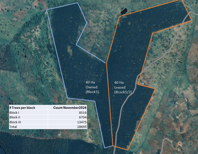 GIS and remote sensing forest mapping services in Uganda