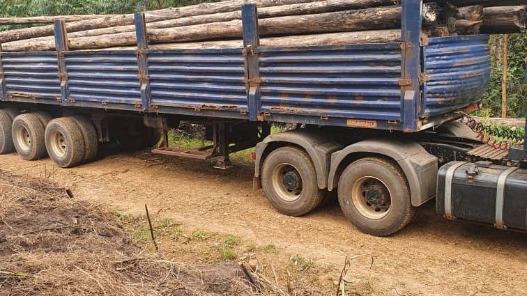 Sawn timber stacked at a mill